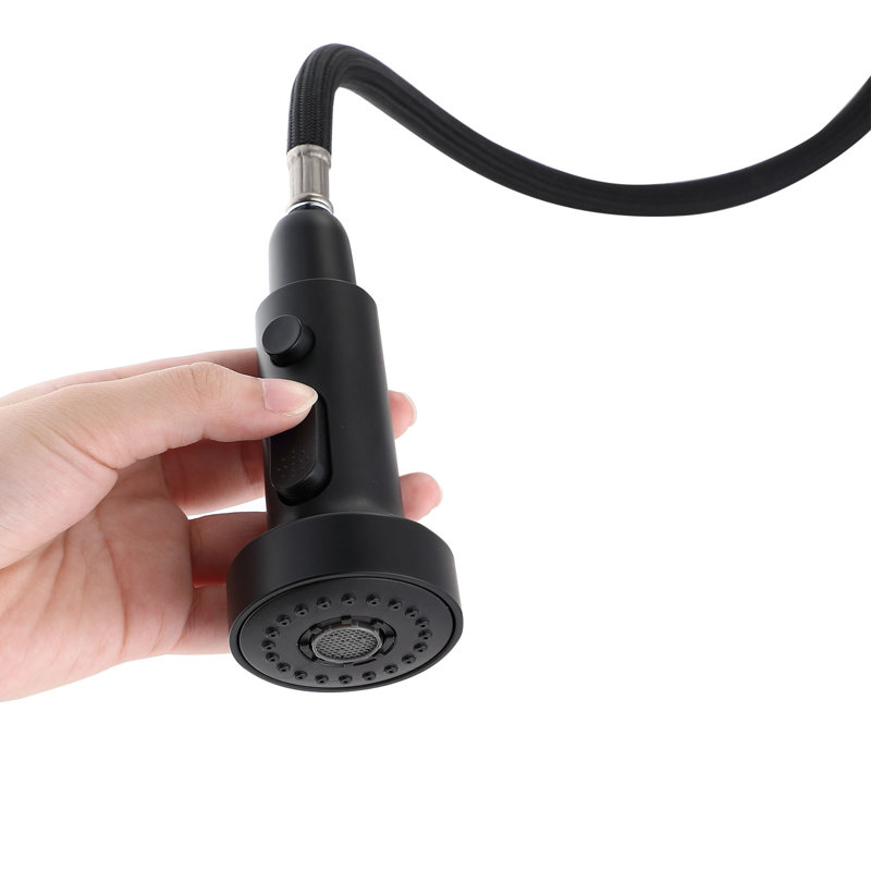 Robinet de cuisine rétractable avec pulvérisateur en acier inoxydable, Noir mat