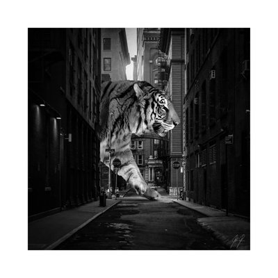 Tiger In NY II by Kathrin Federer - Wrapped Canvas Print