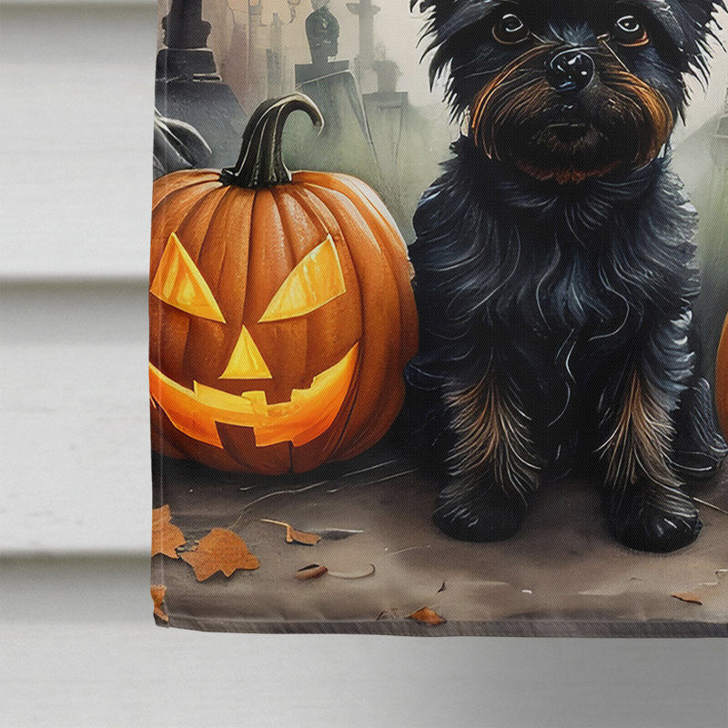 Double Sided 40'' H x 28'' W Polyester Halloween House Flag