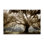 «Sun Streak Through Tree Tree», art mural par Danita Delimont bp-665_CN