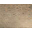 Wool Oriental Area Rug in Tan/Ivory