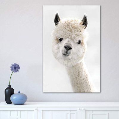 Peeky Alpaca by Monika Strigel - Wrapped Canvas Print