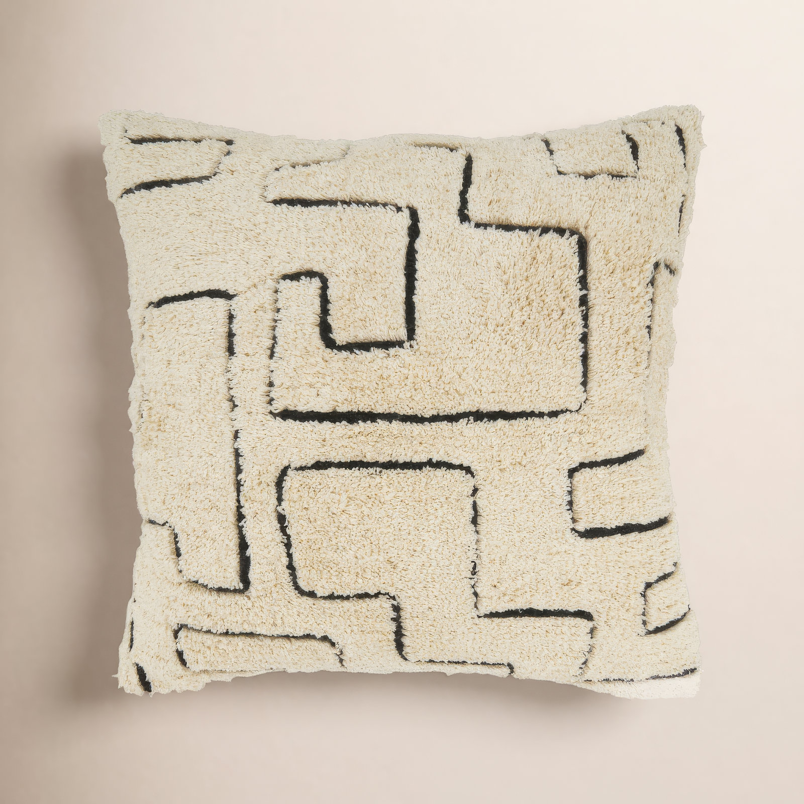Navya Collection 20" x 20" Throw Pillow