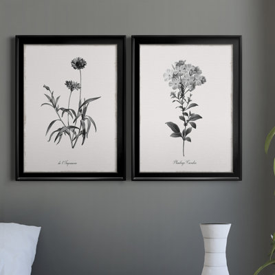 " Simply Imperial " 2 - Pieces