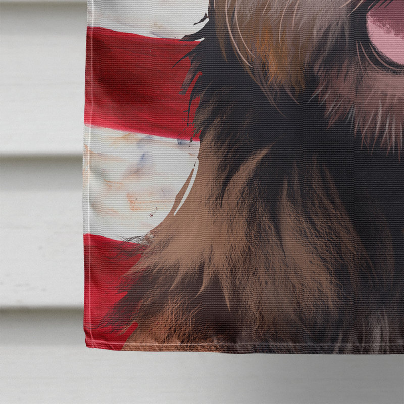 Polyester à 2 côtés 28 x 40 po drapeau maison, Border Terrier