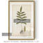 « palm botanique iii »-impression sur toile-654948721-654949102