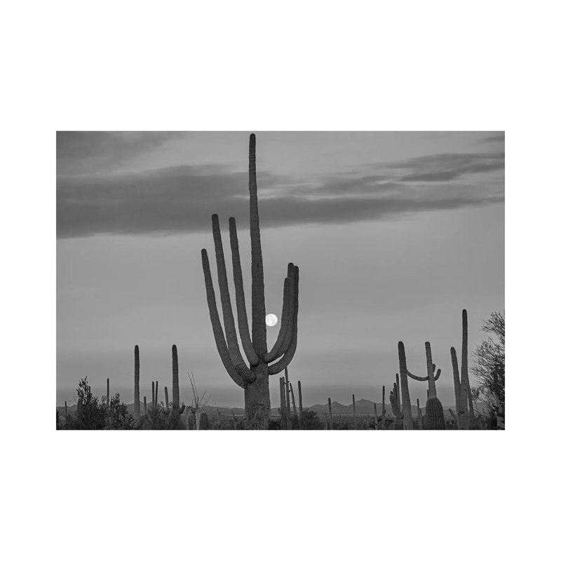 Saguaro Cacti and Moon, Saguaro National Park,  Arizona 1 Piece Wrapped Canvas Wall Art, 101.6 cm H x 66.04 cm W x 1.91 cm D