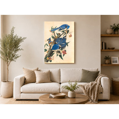 Blue Jay (1827) — Audubon Birds of America Canvas Wall Art