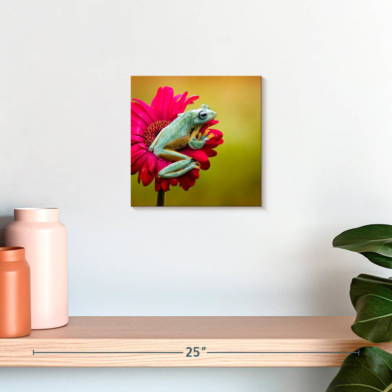 Crowle Tree Frog On Flower, H 10 po x l 10 po