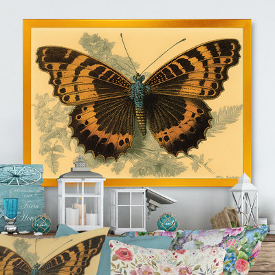 «Anntionette Vintage Illustration Of Butterfly II», reproduction sur toile