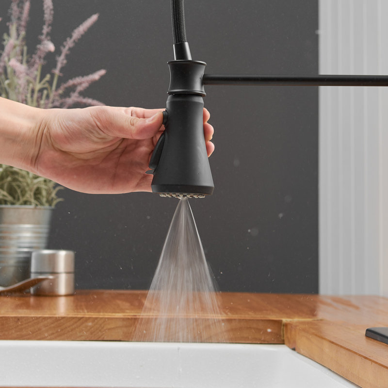 VIBRANTBATH Kitchen Faucet, Matte Black