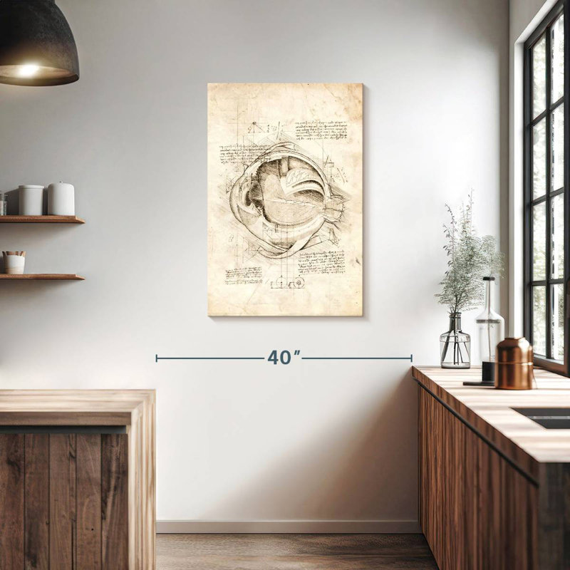 Keiri Human Eye Anatomy, 36" H x 24" W