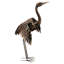Grue bronze-1604418233
