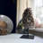 Ellyonna Landscape & Nature Crystal