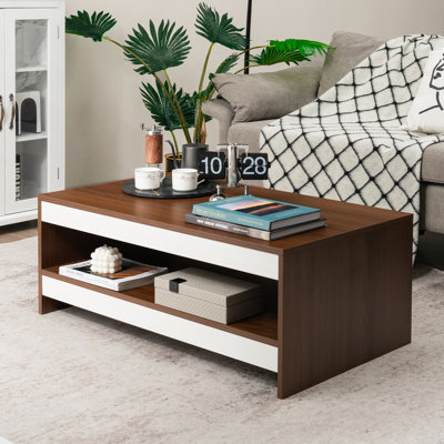 Kavel Frame Coffee Table with Storage