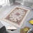 Stylish Woven Carpet, 4 x 6 Feet, 100% Polyester | Antibacterial, 3D Digital Printing, Non-Slip PVC Felt Dot Underside | Machine Washable, 0.4 in Pile Height, Perfect for Living Room & Bedroom Decor-226406159