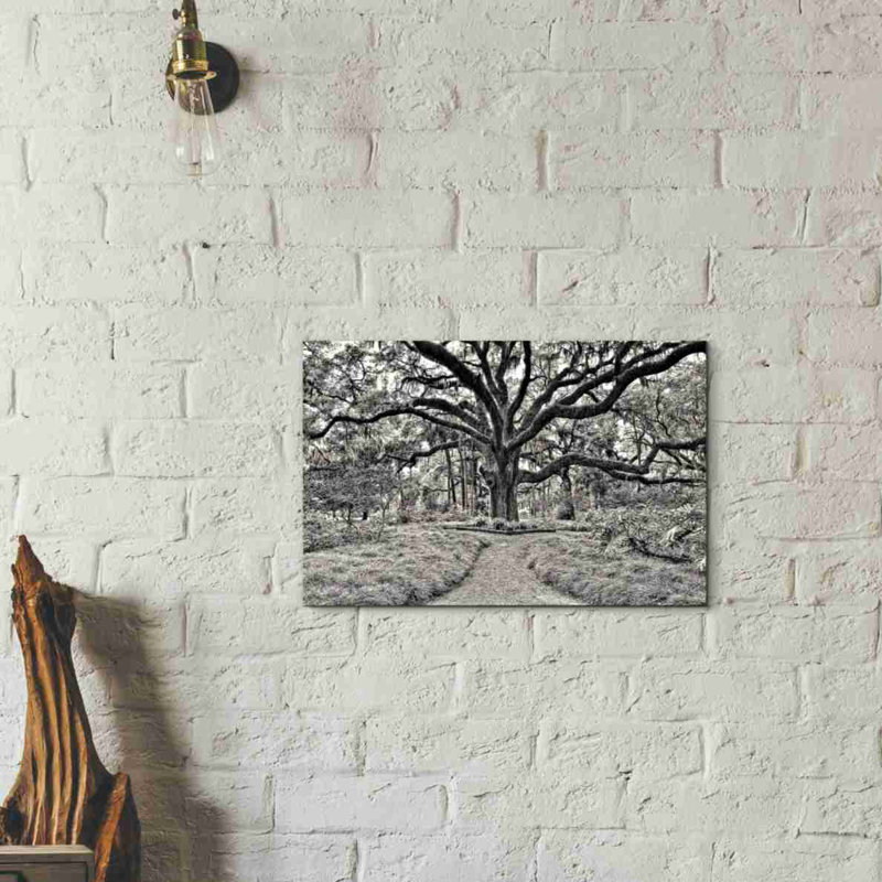 «Florida Tree» par PH Burchett, art mural sur toile, H 12 po x l 18 po x P 0,75 po