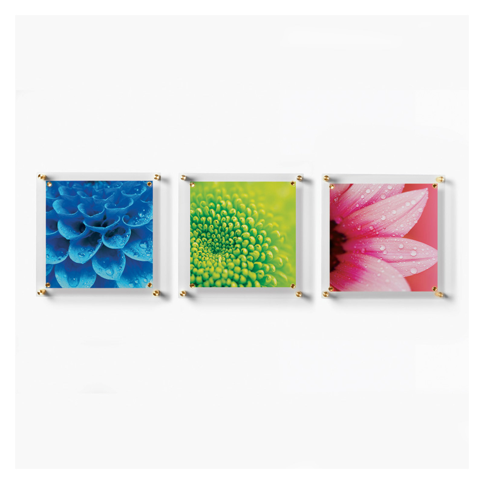 14" x 14" Trio Picture Frame, Gold/Clear