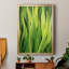 Blades of Grass II - peinture à cadre unique-1661991474-1661991475