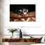 Playful Chihuahua-107869786