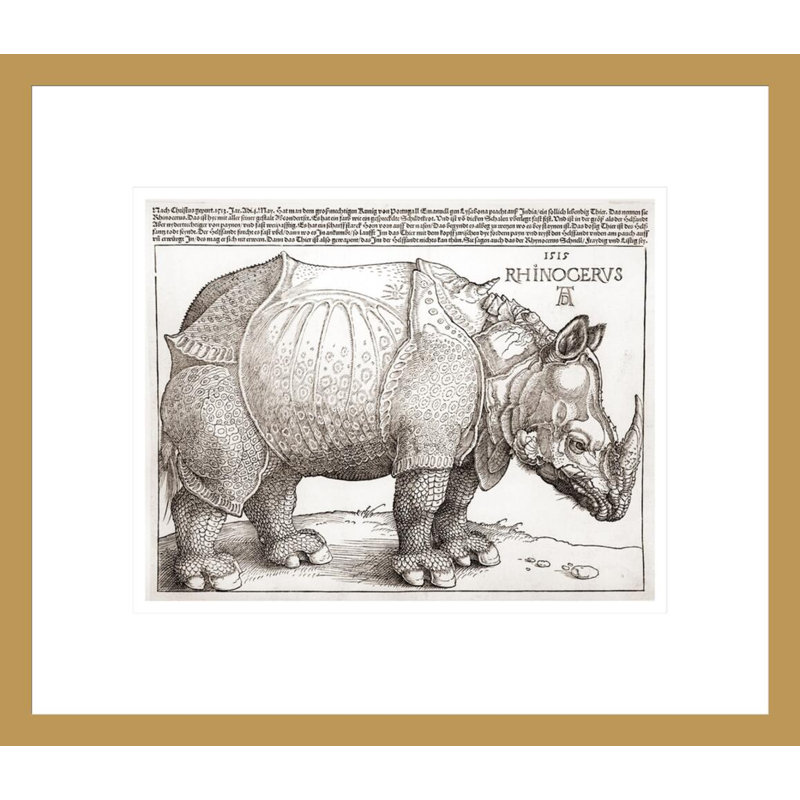 «The Rhinoceros» par Albrecht Dürer, impression giclée sur cadre, H 13,75 po x l 15,89 po
