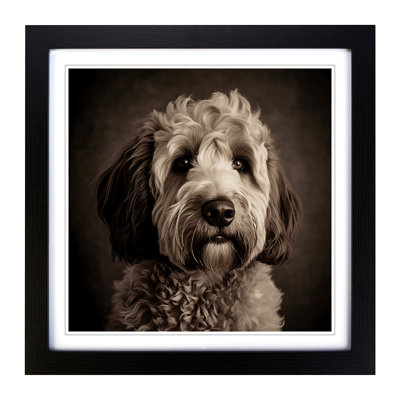 Labradoodle Photograph - Framed Print