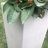Planter-233710364-233710355