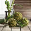 25-Inch Artichoke Stem
