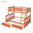 Twinfull Bunk Bed With Two Storage Drawers, , Walnut & Storage, Stability-1634781610