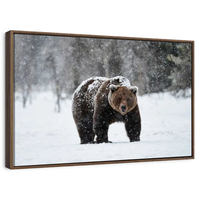 Winter Grizzly Bear