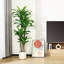 Ruxin Faux Tree-646797457