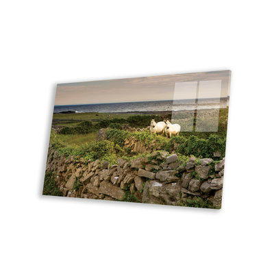 Inishmore Island. Îles d'Aran. Irlande. «Horses Be derrière Rocky Fences» par Tom Norring - impression sans cadre