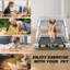 Conception innovante pour animaux de compagnie pour petits et moyens chiens