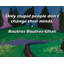 Toile tendue Astoria Grand Gallery par Anthony rapp: «Il n'y en a qu'une pour vous tous les temps. Sans peur-956213090