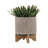 S/2 5/8" Mesh Planter W/ Stand
