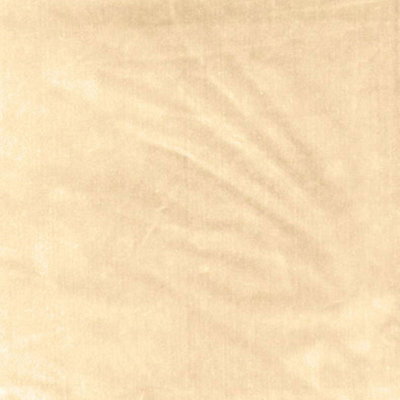 Venetian Silk Velvet Fabric
