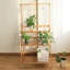 Support pour plante en bambou Crisante