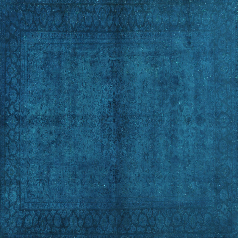 Maudine Performance Oriental Indoor Rug, Square 4'