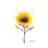 Sunflower Celebration by Ashvin Harrison - Wrapped Canvas Print-1554867874
