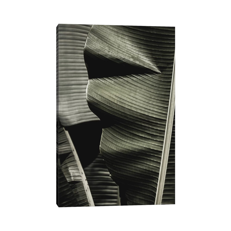 Banana Leaf Green by Monika Strigel - Wrapped Canvas Print, 20.32 cm H x 30.48 cm W