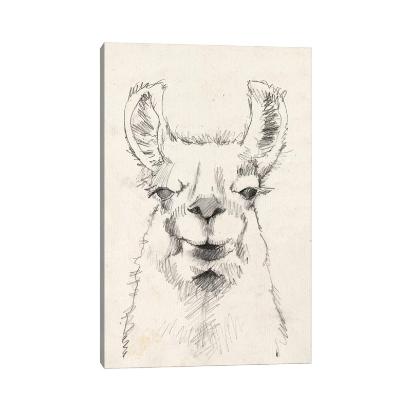 Llama Portrait II by Jennifer Goldberger - Wrapped Canvas Painting, 152.5 cm H x 101.5 cm W