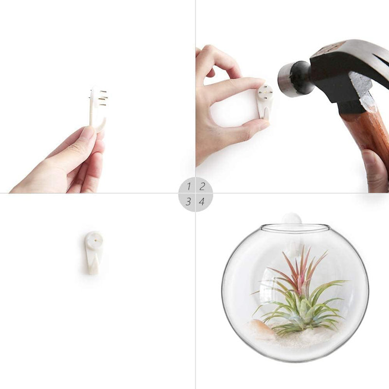 Wall Hanging Propagation Vases Set, 4