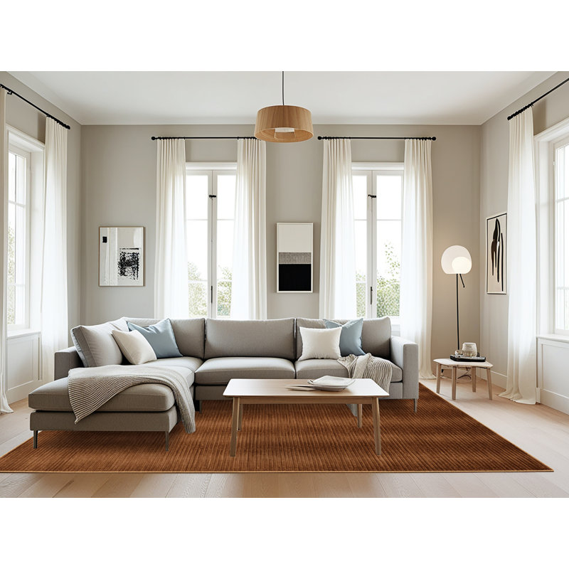 Machine Washable Solid Brown Area Rug, Rectangle 6' x 9'