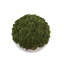 Sedum Arranged in a Stone Planter-1985559517-1985559458