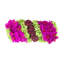 Orchid and  Arrangement-286518433-286518434