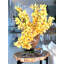 Cymbidiums In Moon Vase-332097416