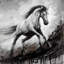Cheval blanc dans le vent - Cheval, salon, toile encadrée