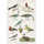 August Grove® Atrayu Egyptian Bird Charts I On Canvas by Jean Francois ...