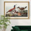 Ruddy Duck - reproduction d'art sur toile-2110390603-2110390602