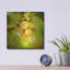 Winston Porter «Spring Fruit» par Jessica Rogers, art mural en métal-394158970